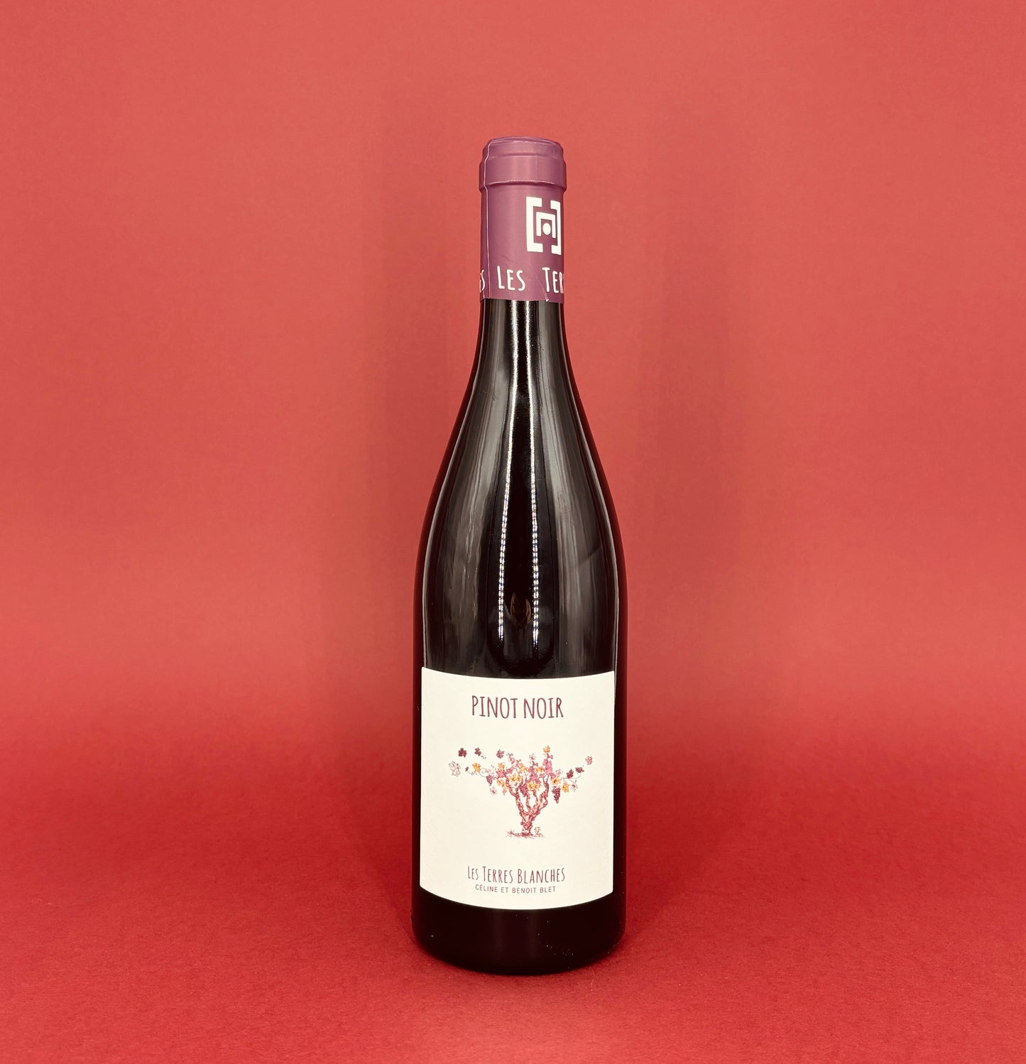 Pinot Noir - VDF - Domaine Les Terres Blanches - Rouge - 2023 - 75cl
