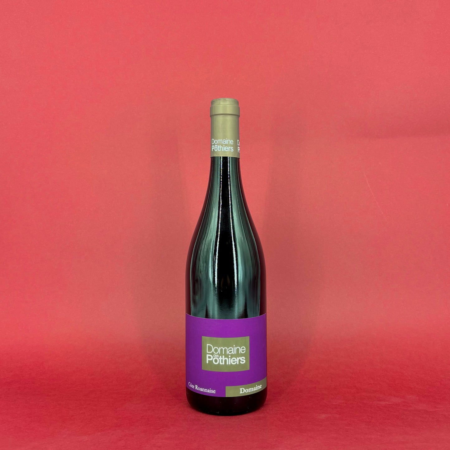 Domaine des Pothiers - Côtes Roannaises - Rouge - 2022 - 75cl